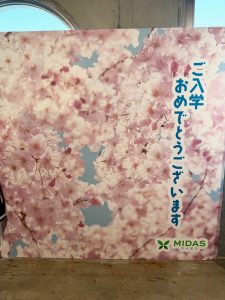 桜の写真の背面パネル